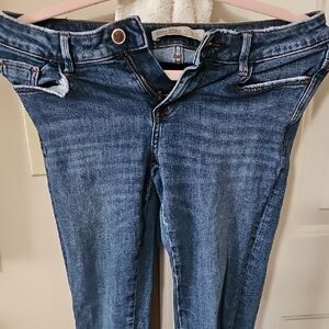 Zara Classic Blue Skinny Jeans